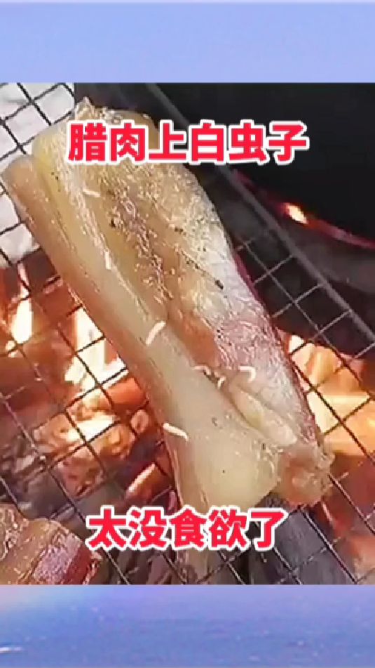 肉上的白虫子,太没食欲了!
