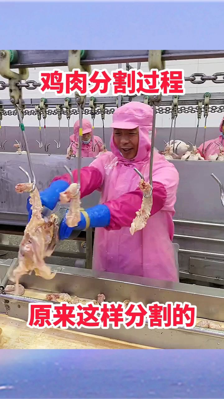 鸡肉分割过程，原来这样分割的！