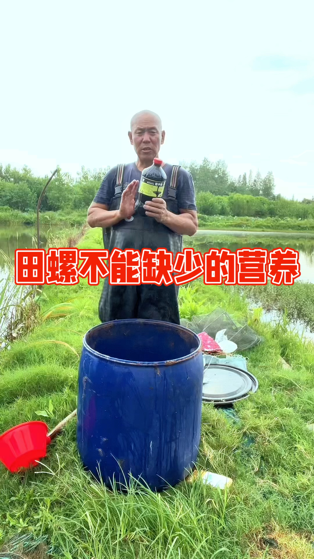 高温田螺养殖技术