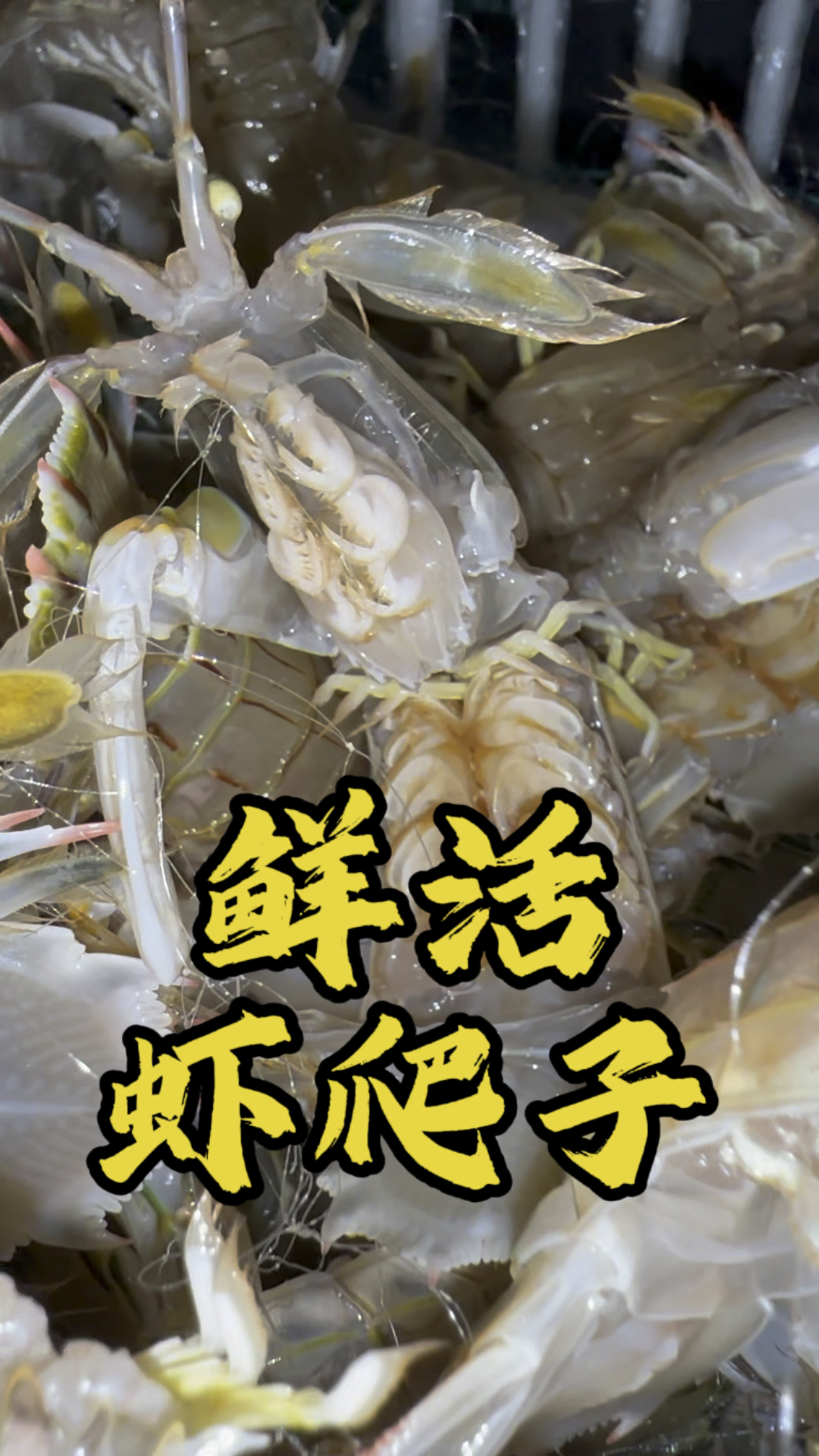 皮皮虾,虾爬子,搞起来