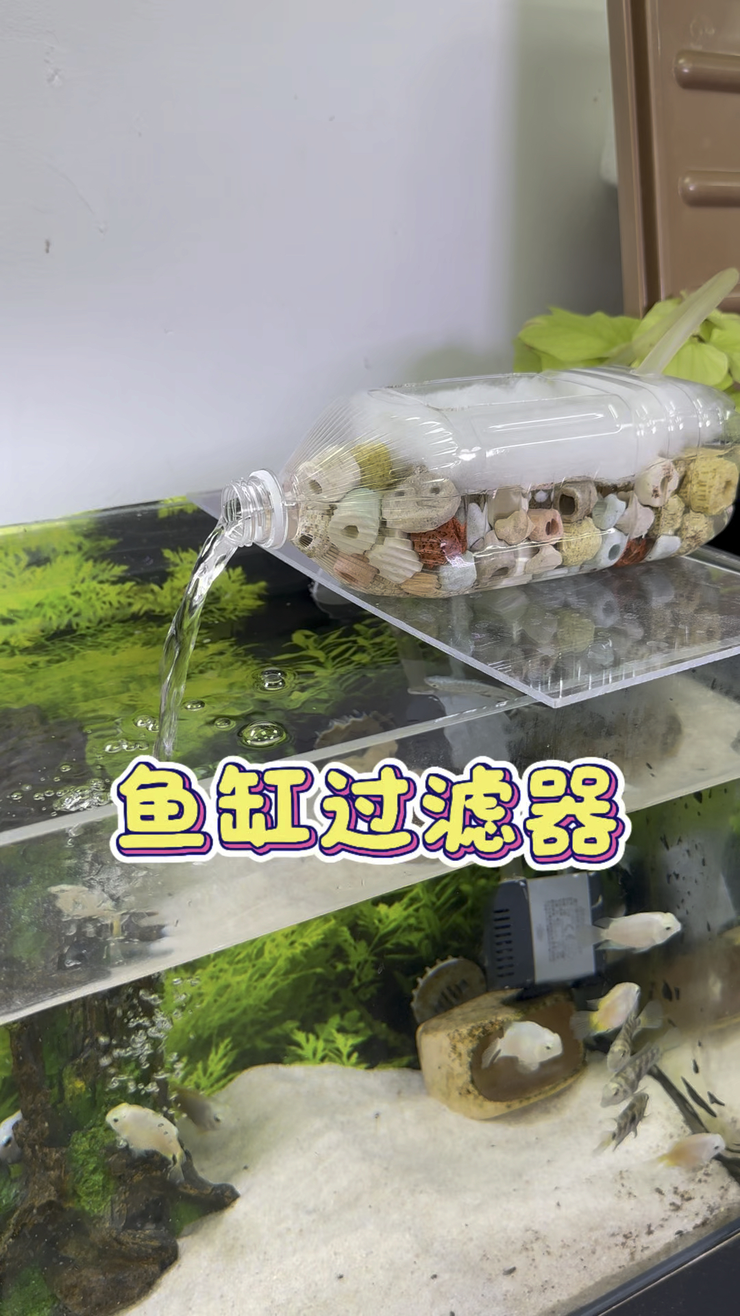 自制鱼缸过滤器 #水族 #养鱼养心 #观赏鱼
