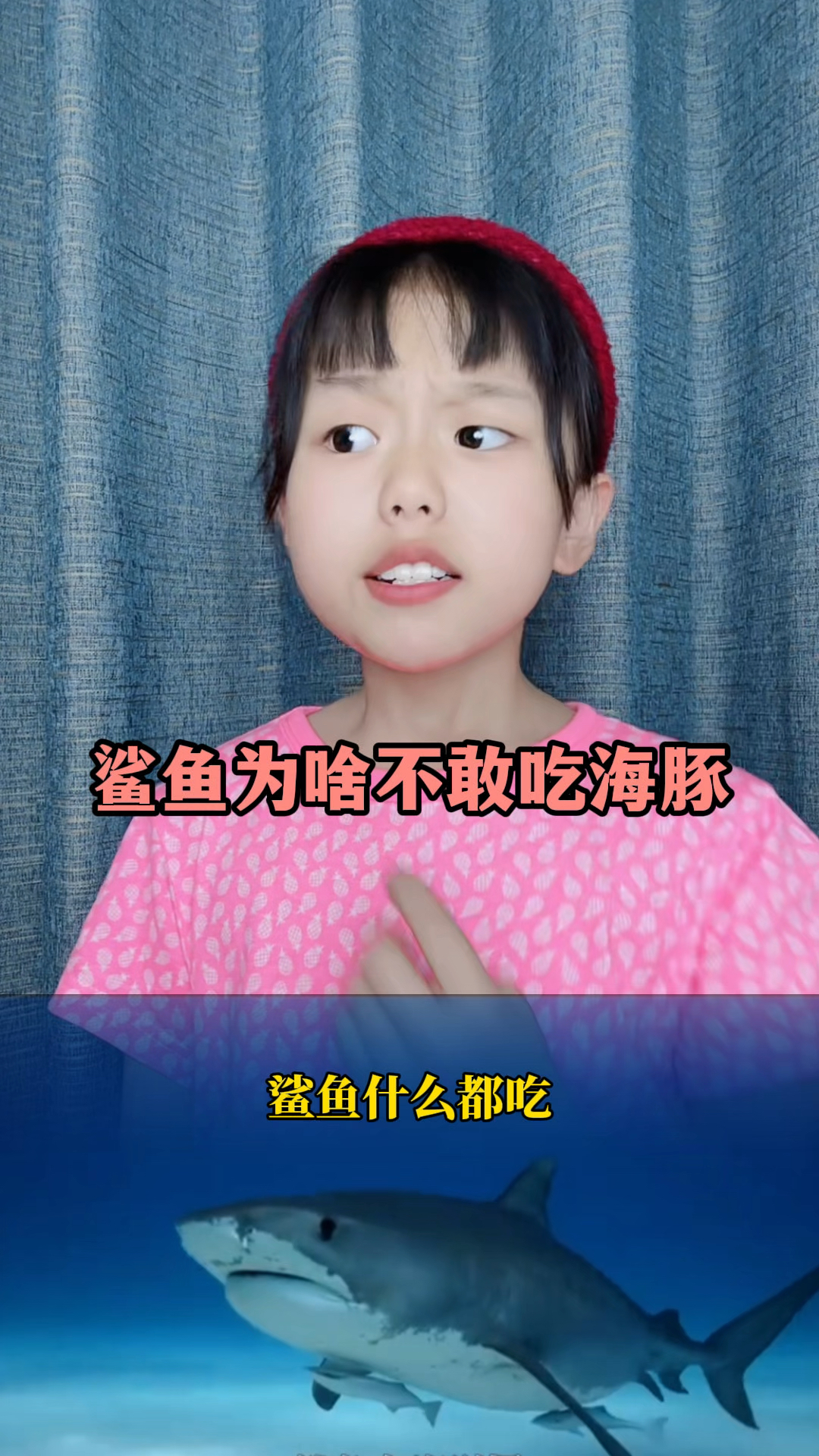 为什么鲨鱼不敢吃海豚呢