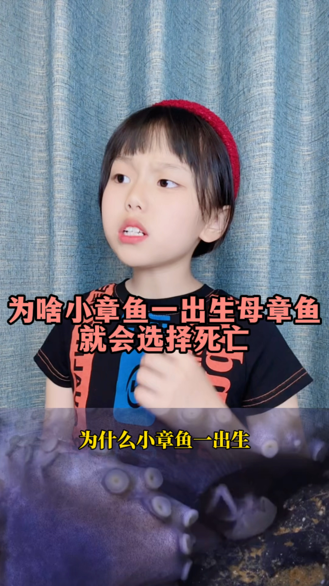 为啥小章鱼一出生母章鱼就会选择死亡呢