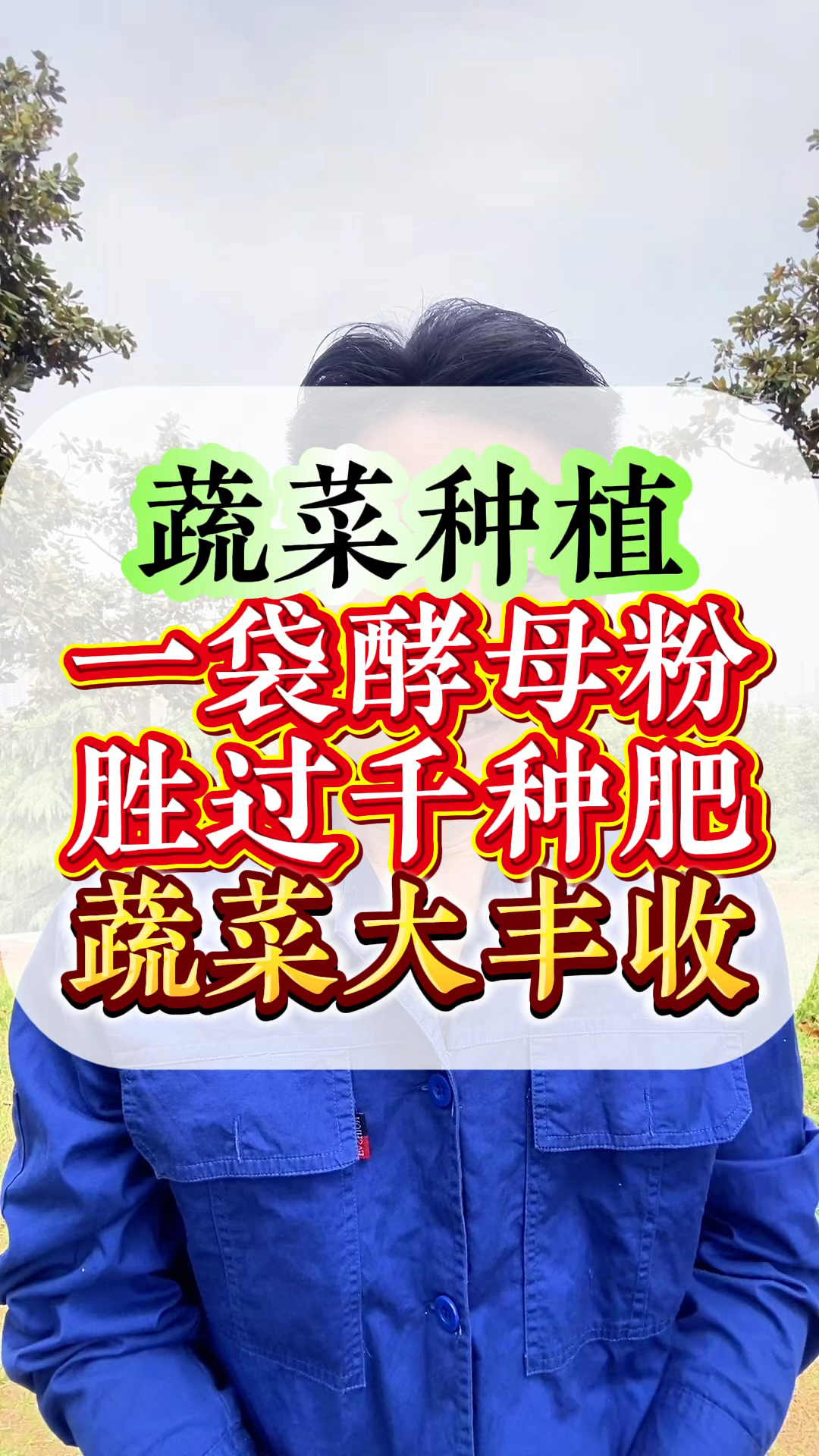 蔬菜高产丰收小妙招