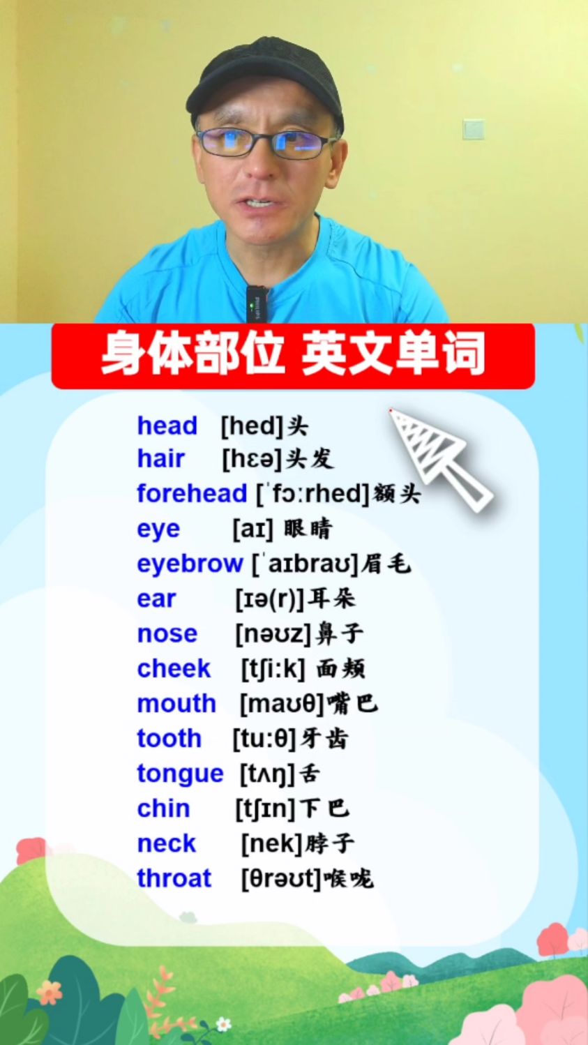 身体部位的英文单词,收藏学习!