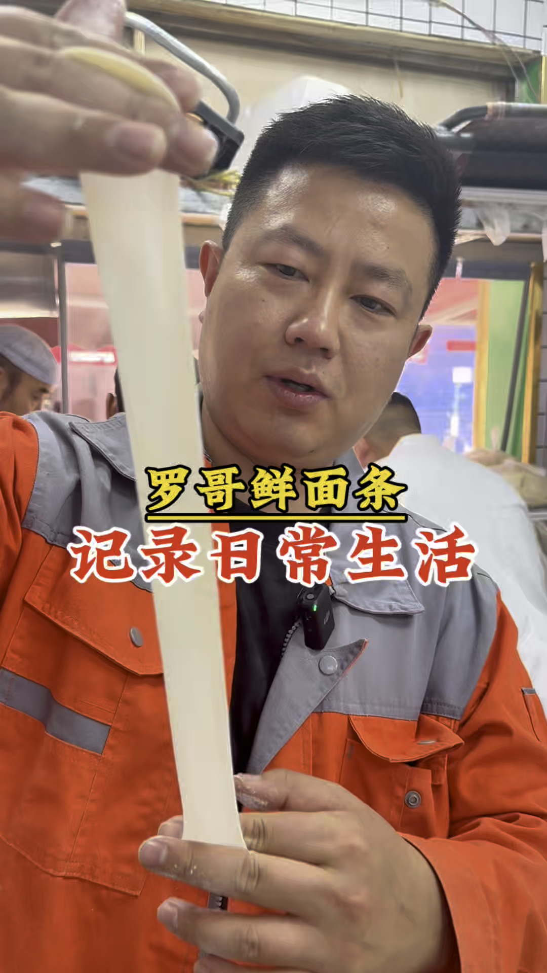 罗哥鲜面条 记录日常生活