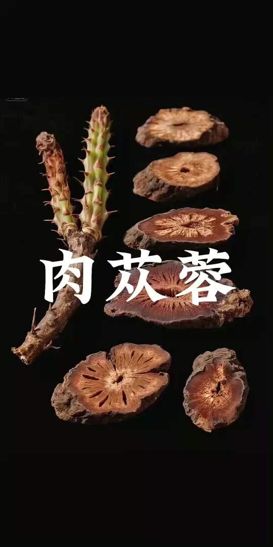 肉苁蓉,中药药材,传统文化故事