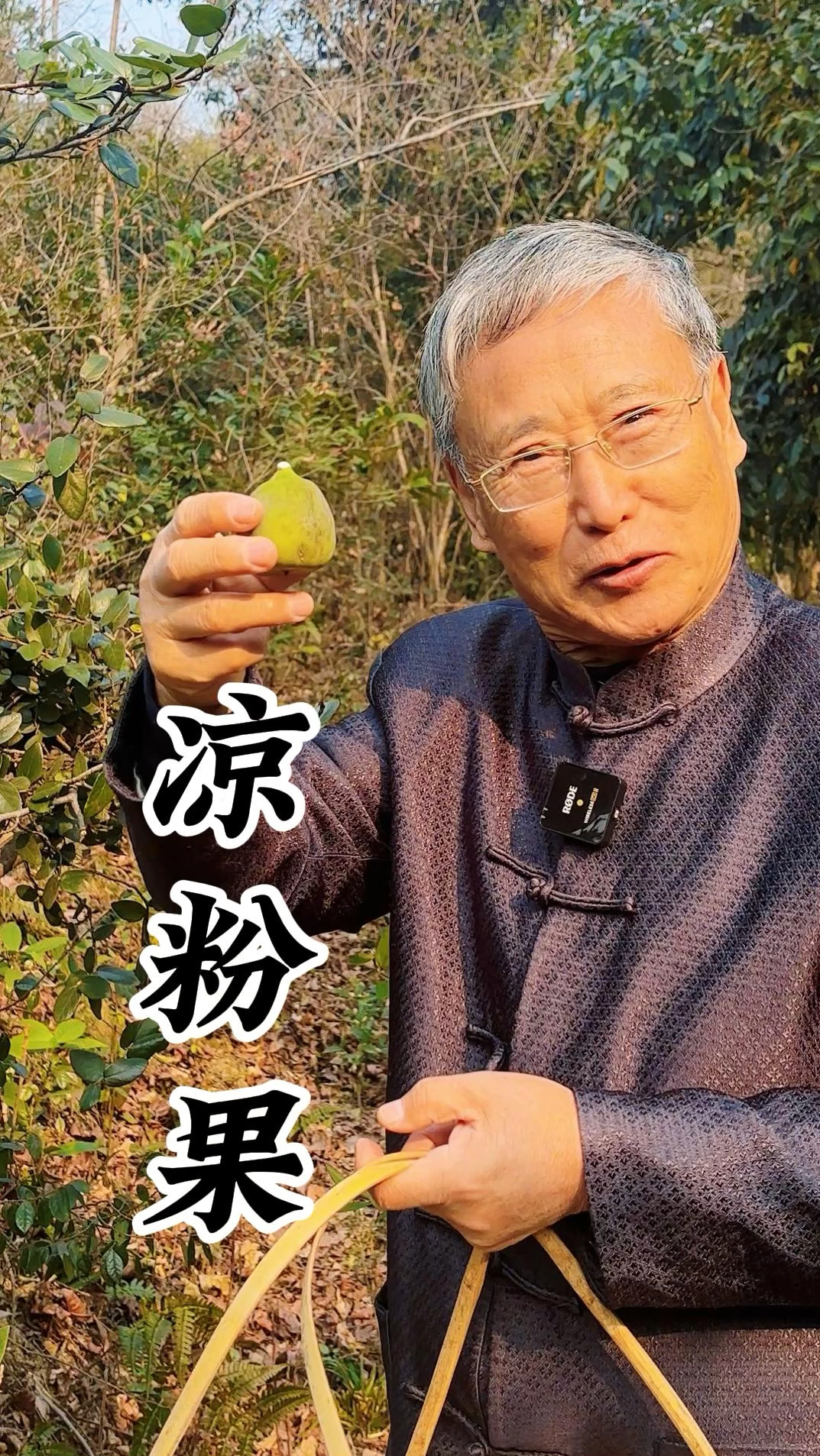 凉粉果:有了它实现凉粉自由,简单方便,爷爷教你用凉粉果做凉粉