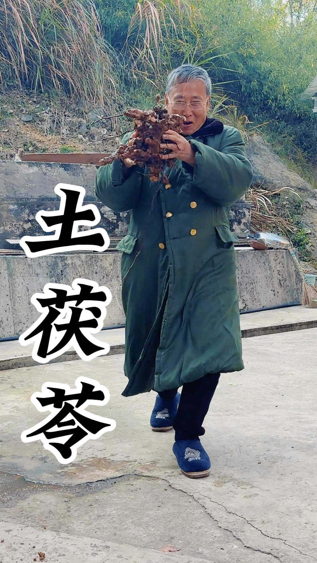土茯苓:再难挖也得挖,土茯苓不是一般的宝贝,猪大肠炖土茯苓绝