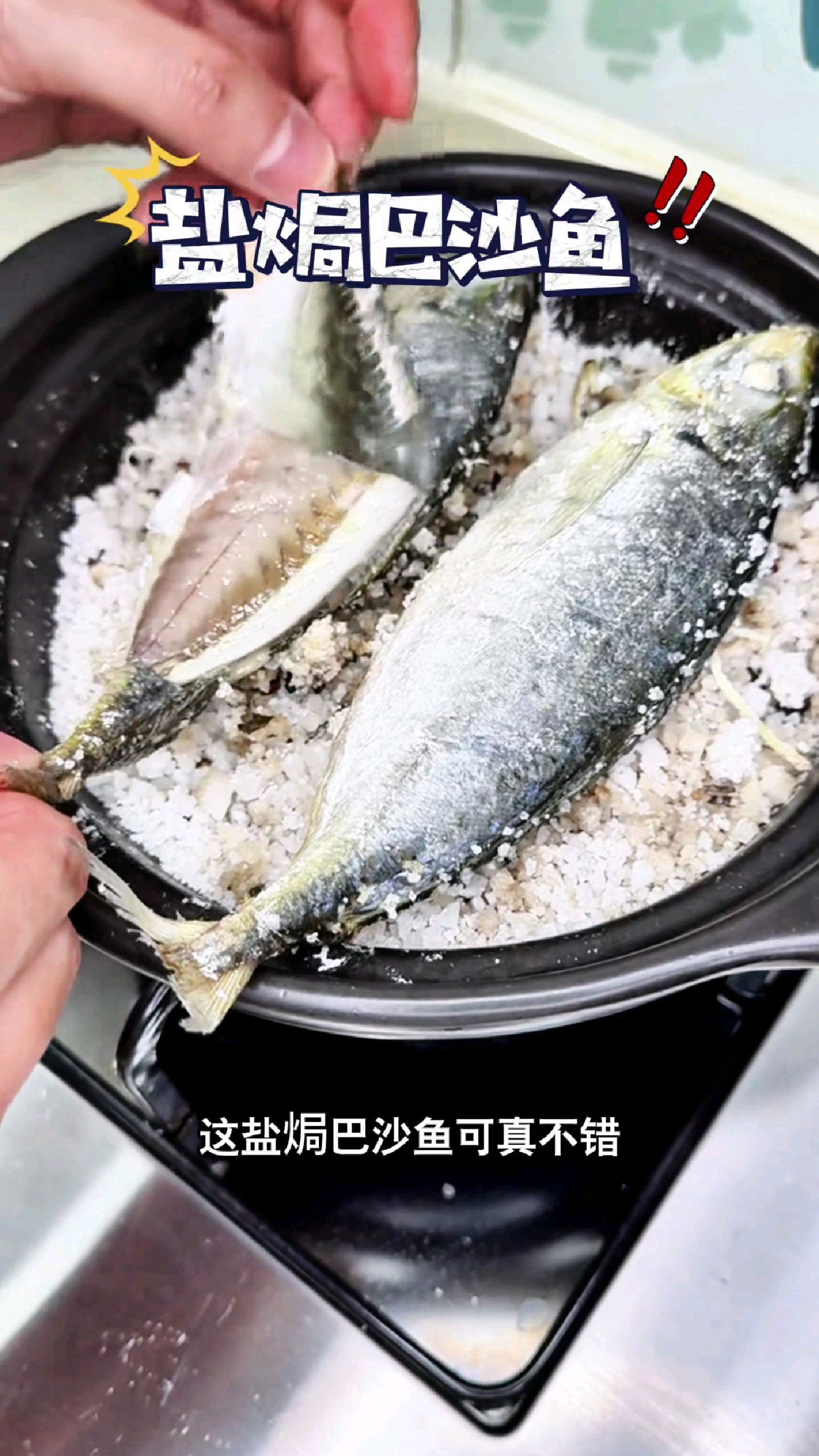 这盐焗巴沙鱼可真不错#我的钓鱼日记 #钓鱼也能这么快乐