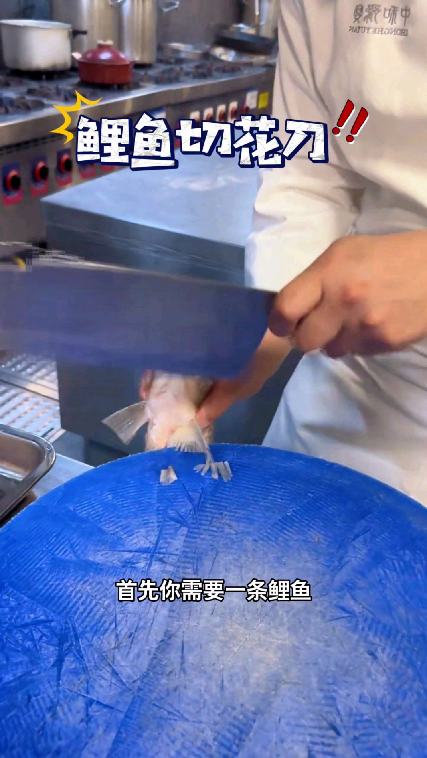 想要切出这么漂亮的片片鱼,可以学起来了#我的钓鱼日记