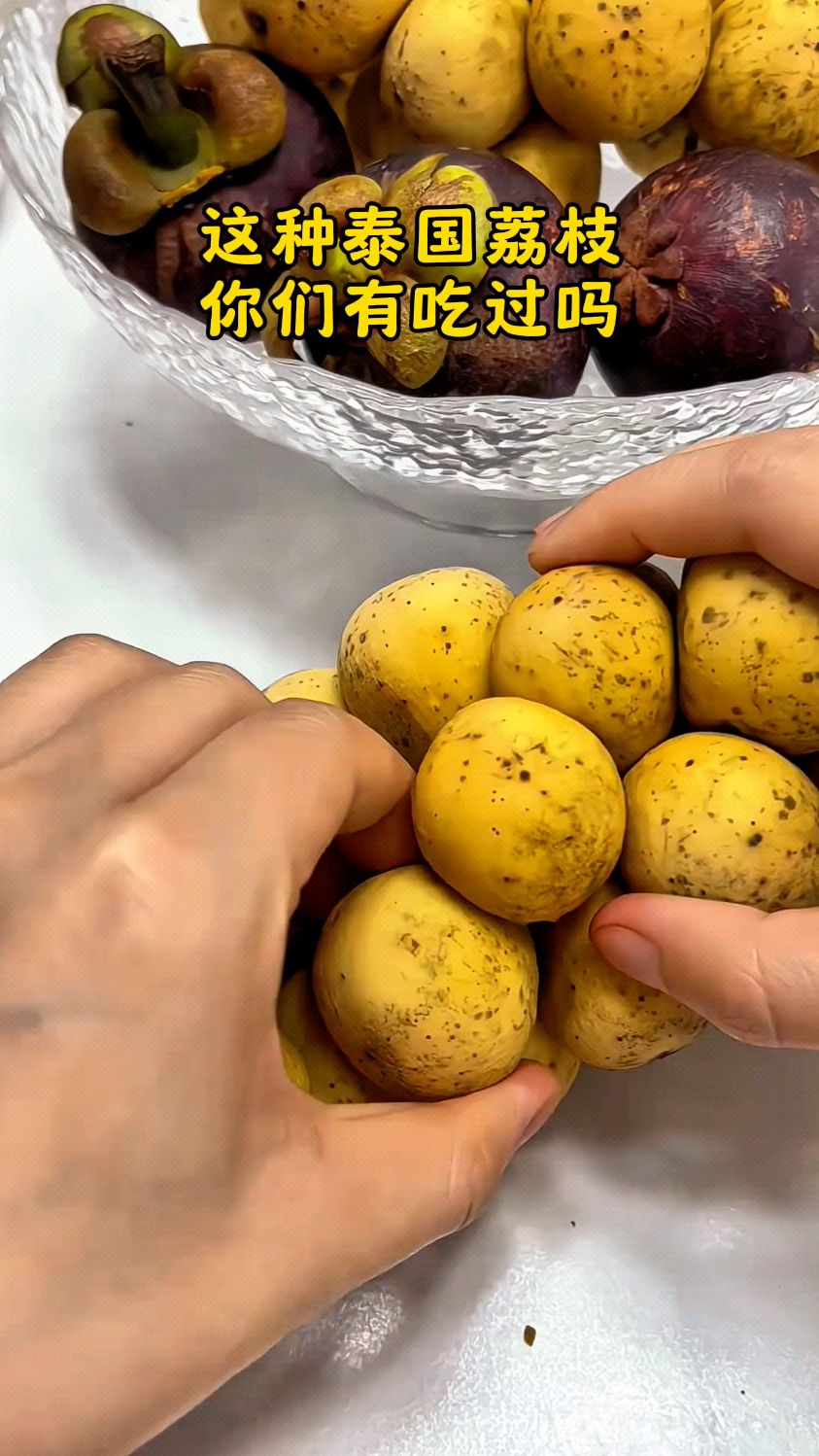 泰国品种的荔枝,你们吃过吗? #勤劳的农村人 #动植物趣味百科