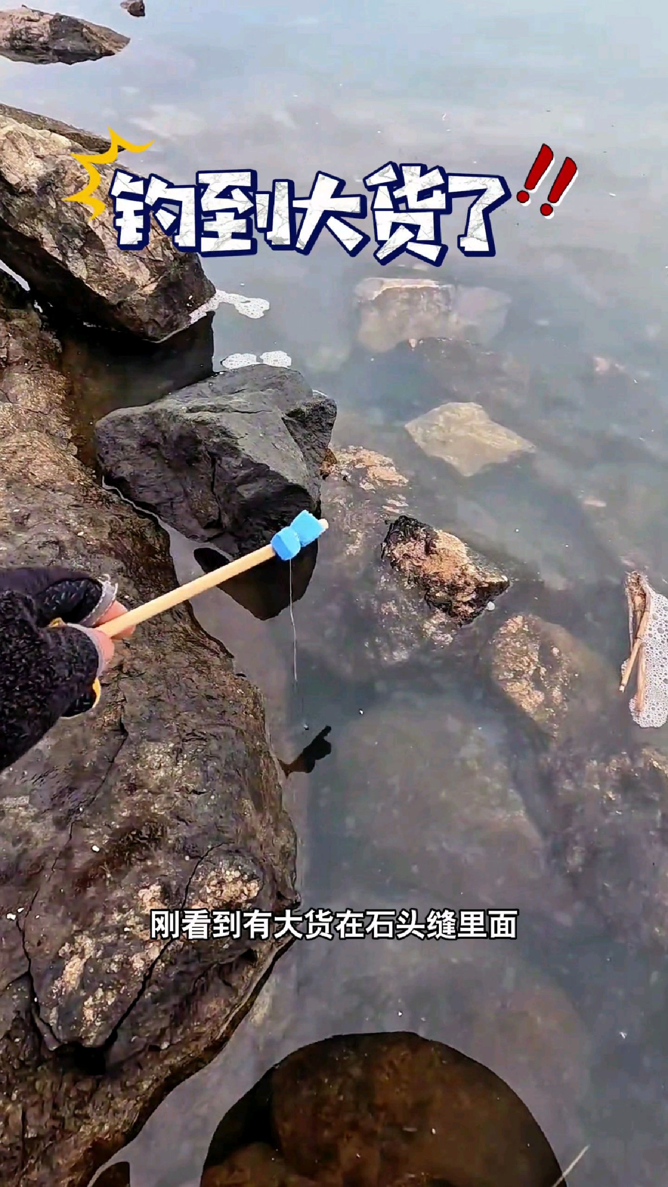 刚看到有大货在石头缝里面,制作了一个简易钓竿来抓鱼