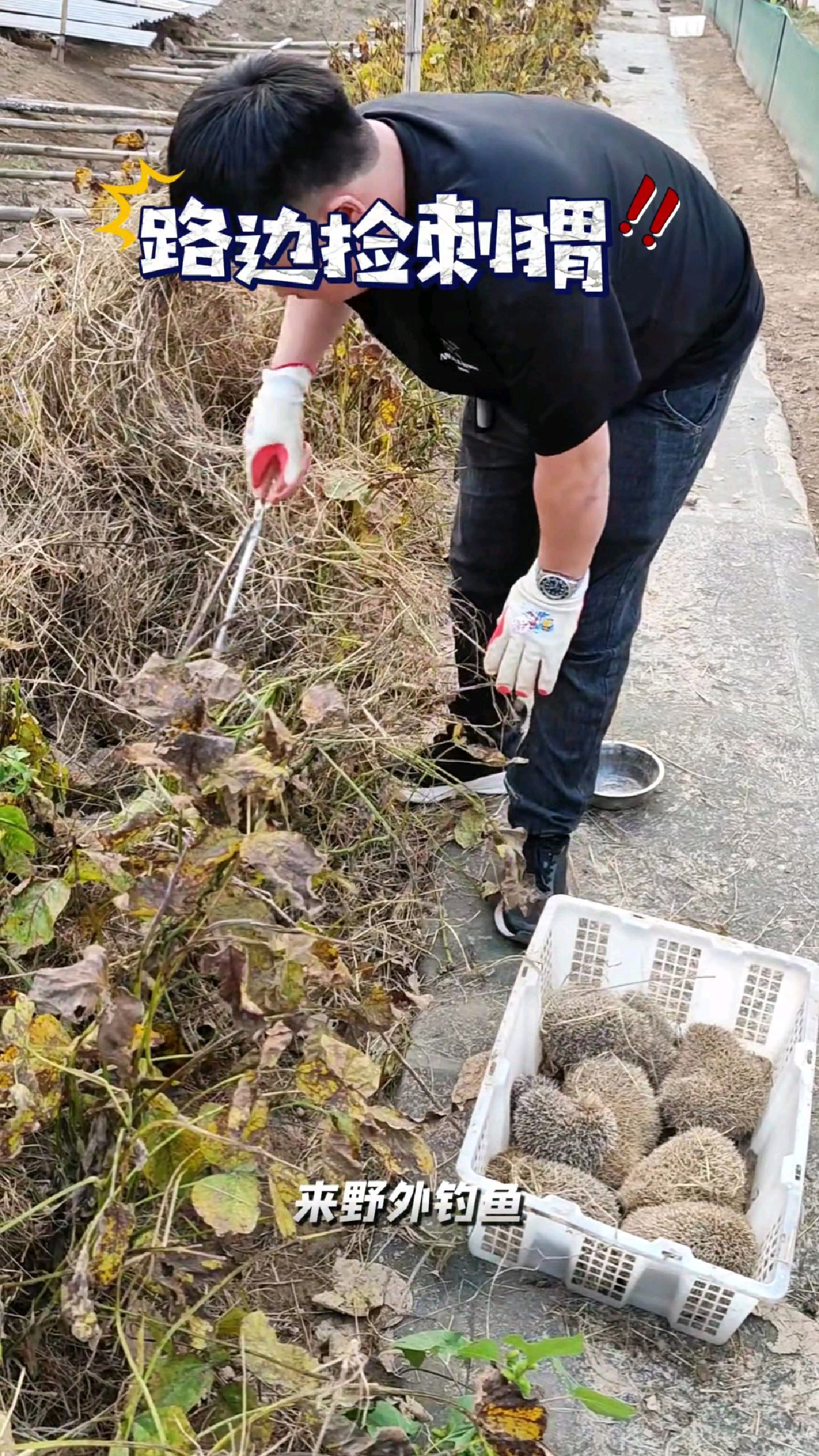 来野外钓鱼碰到了一窝刺猬#我的钓鱼日记 #钓鱼也能这么快乐