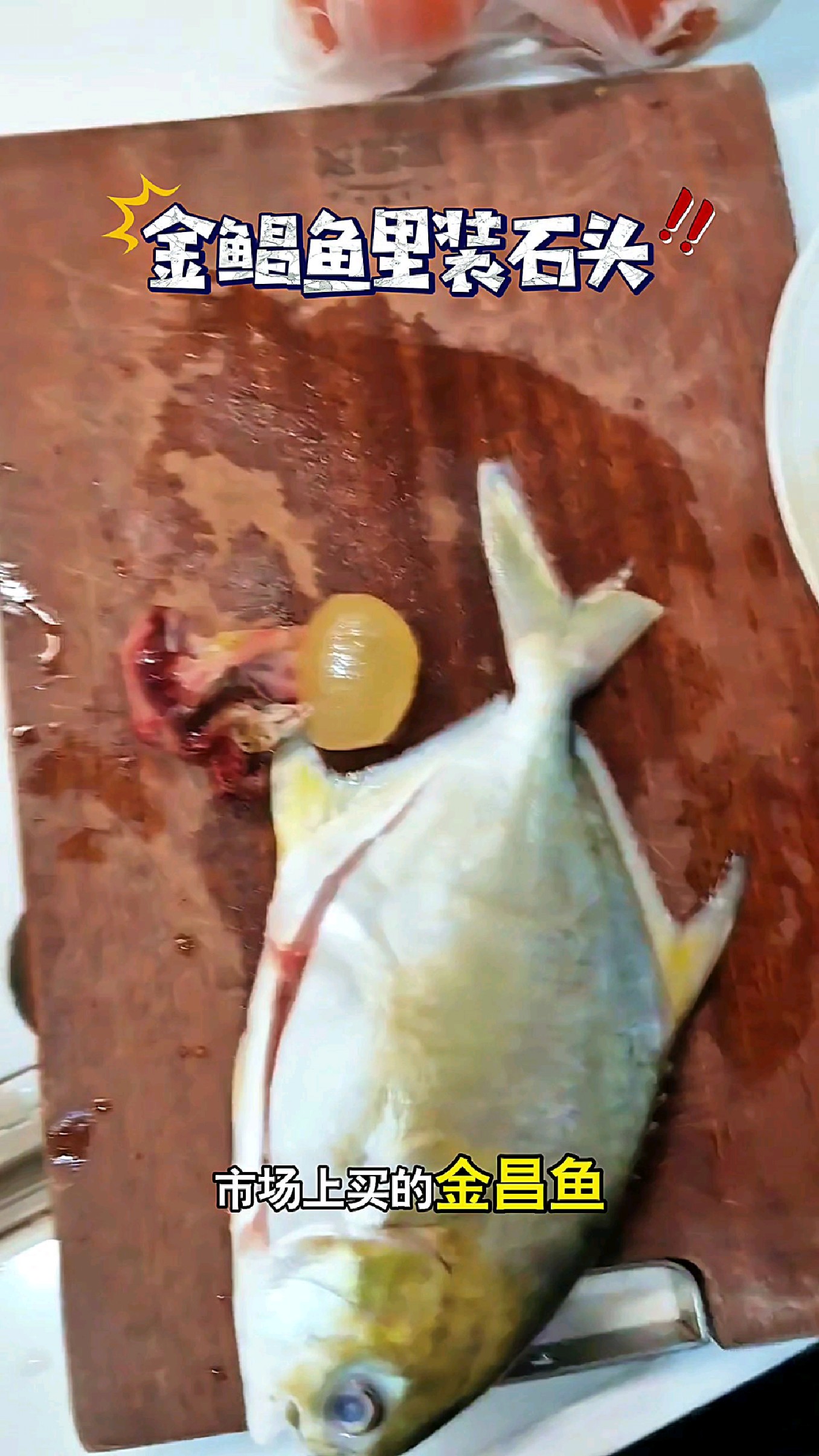 市场上买的金昌鱼，商家可真坏呀#我的钓鱼日记
