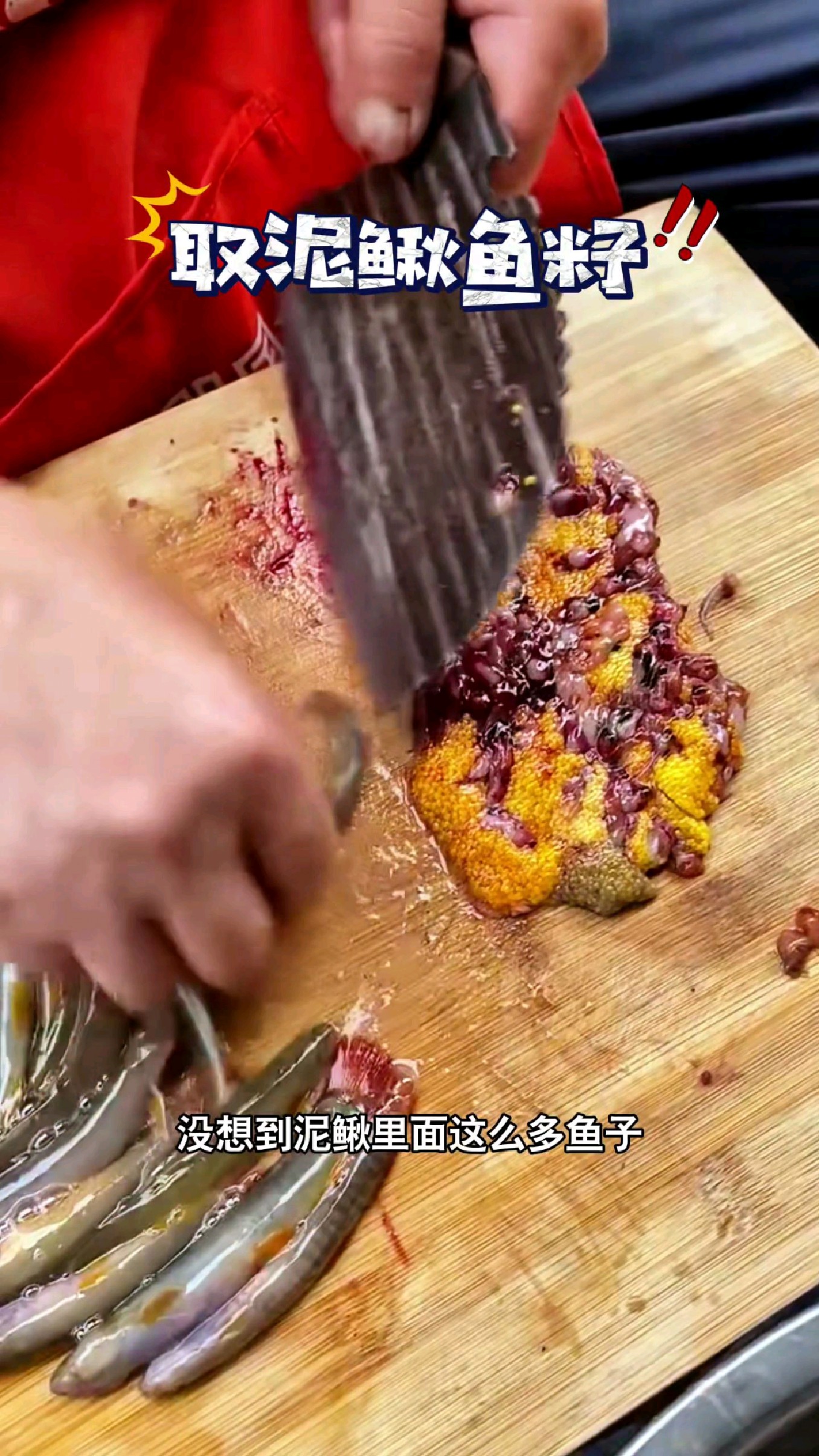 没想到泥鳅里面这么多鱼子鱼泡啊 #我的钓鱼日记