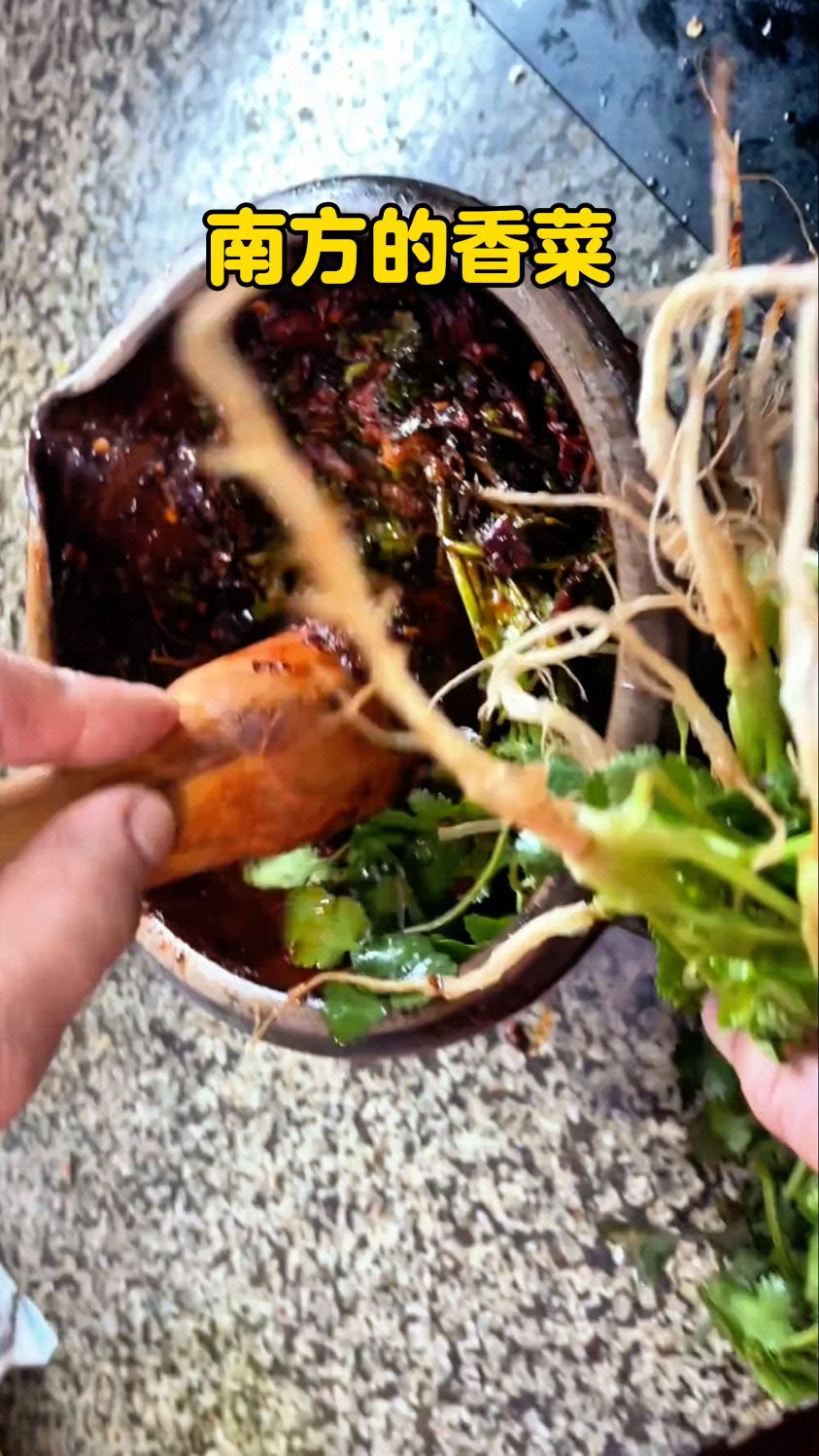 在南方有一种坛子菜非常有名 #老一辈做饭才叫香