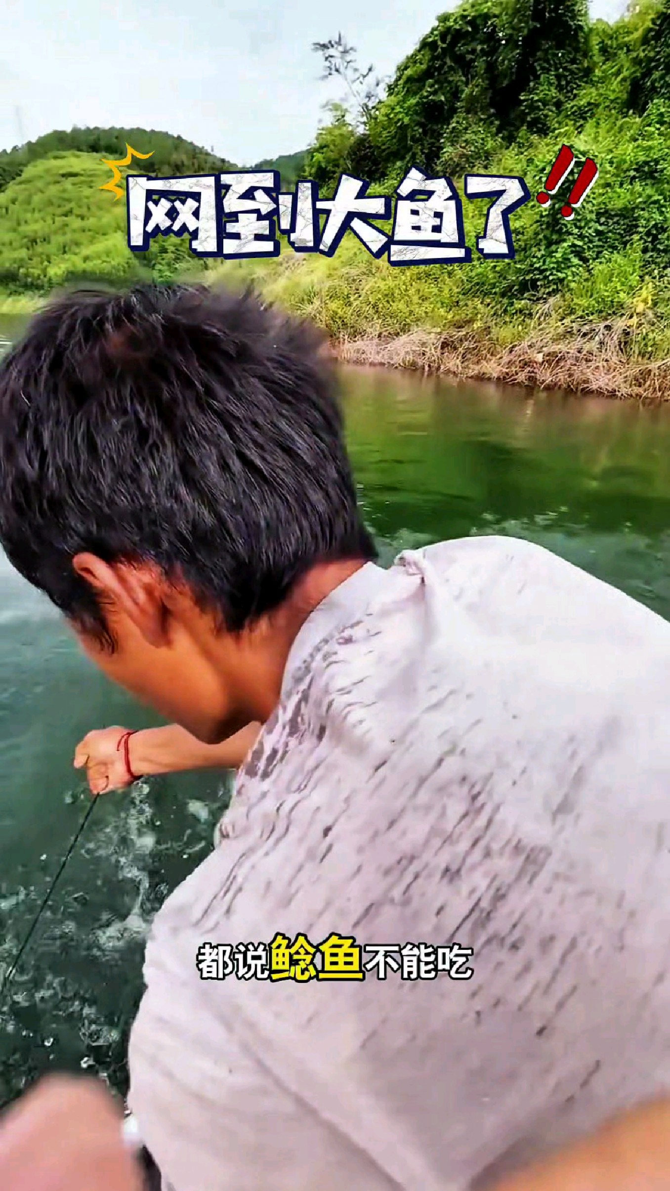这青山绿水的鲶鱼肉质可是特别鲜美的#我的钓鱼日记