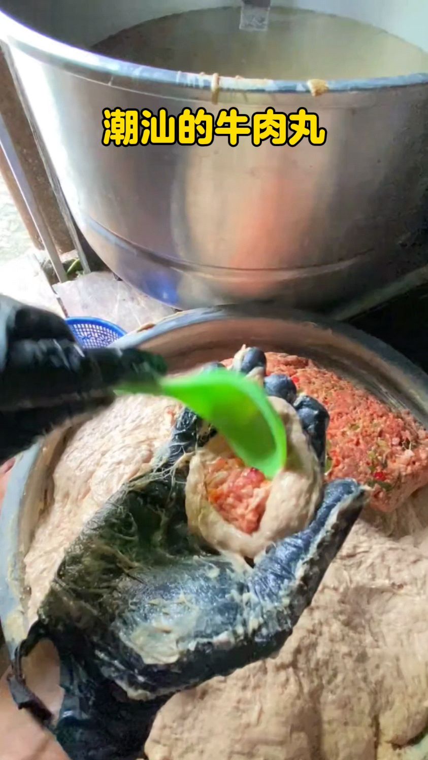 潮汕的牛肉丸做的就是真材实料 #老一辈做饭才叫香