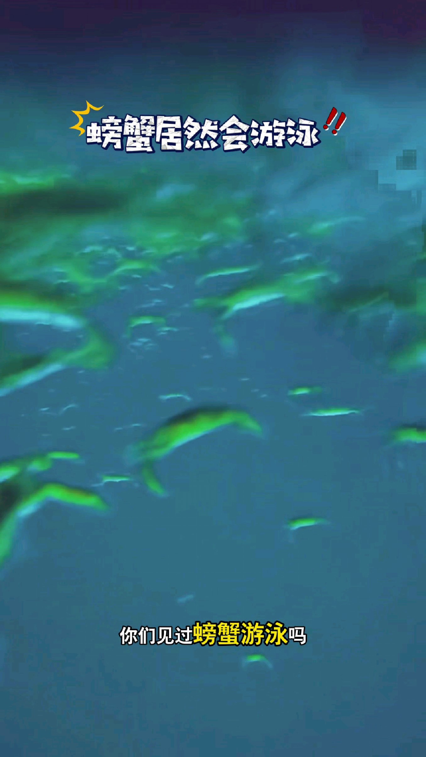 你们见过螃蟹游泳吗?#我的钓鱼日记 #钓鱼也能这么快乐