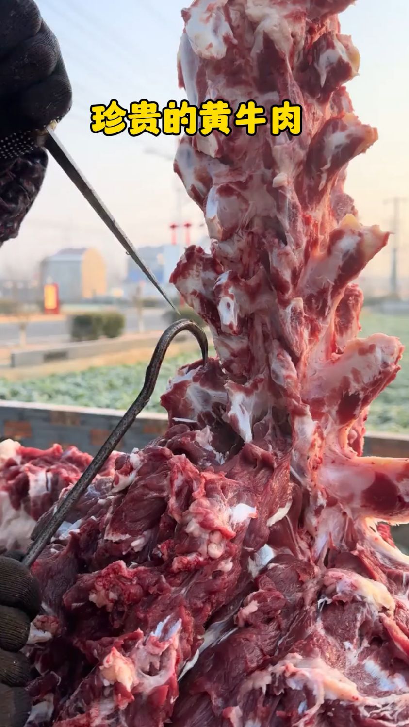 黄牛肉50块钱一斤 #老一辈做饭才叫香 #舌尖上的乡村美食