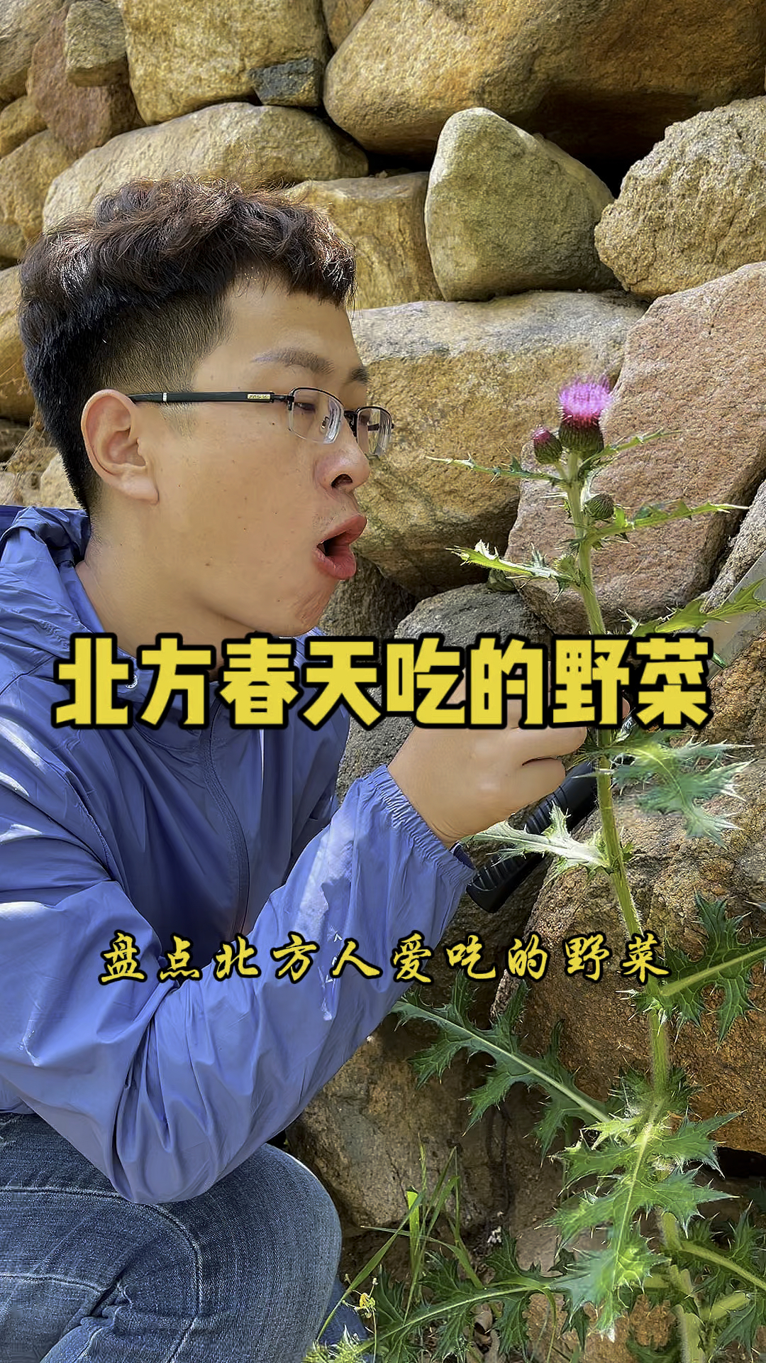 北方人春天吃的野菜。