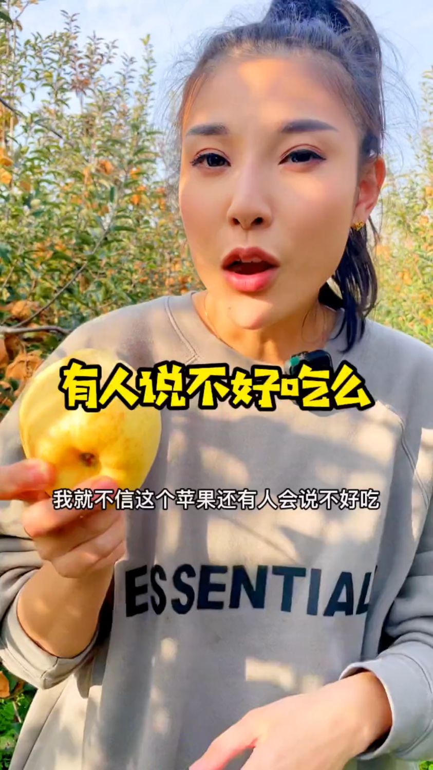 正宗黄金维纳斯苹果,高端品种,好吃不贵