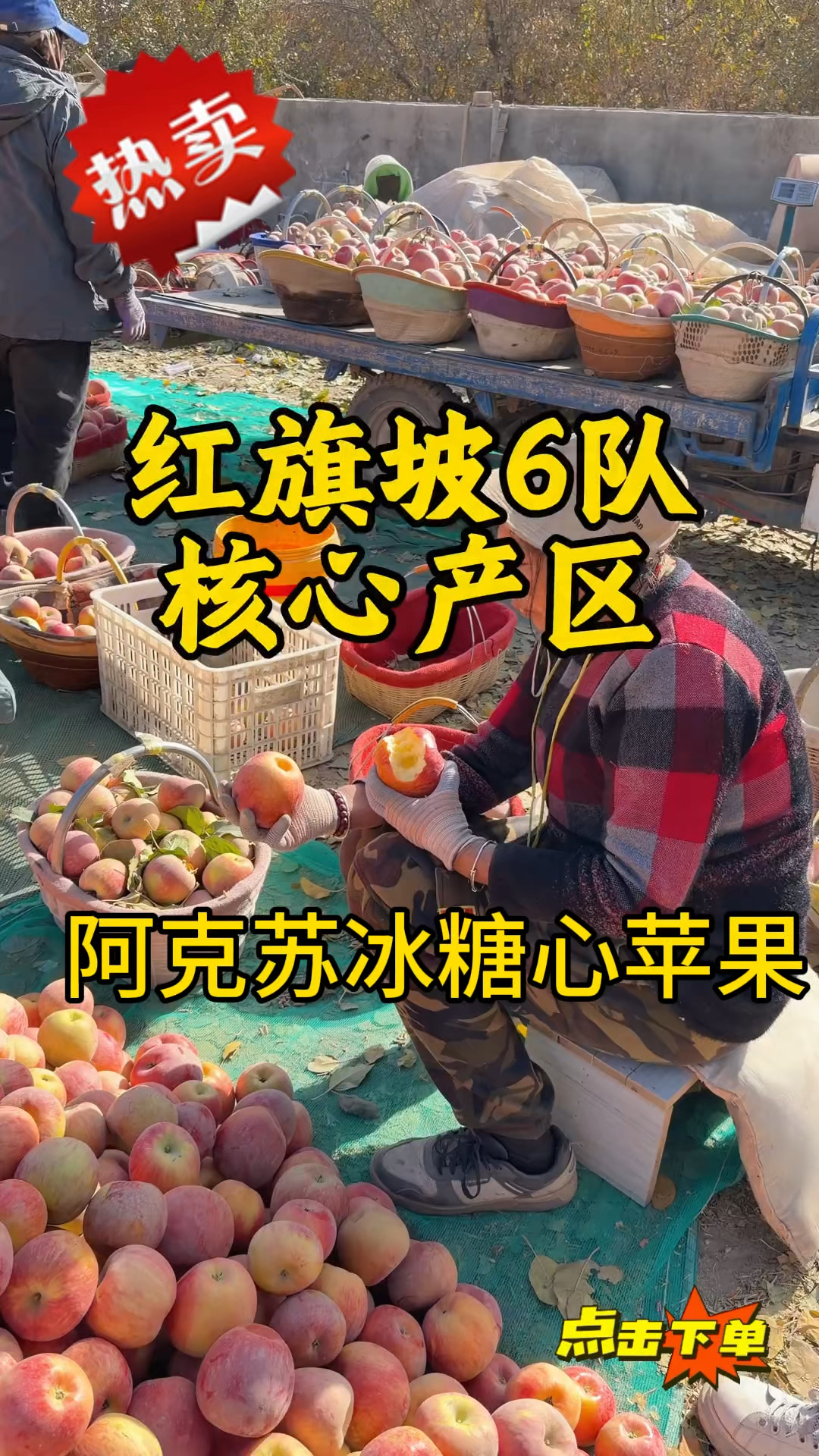 新疆阿克苏冰糖新苹果,核心产地现摘现发,快来抢购吧。