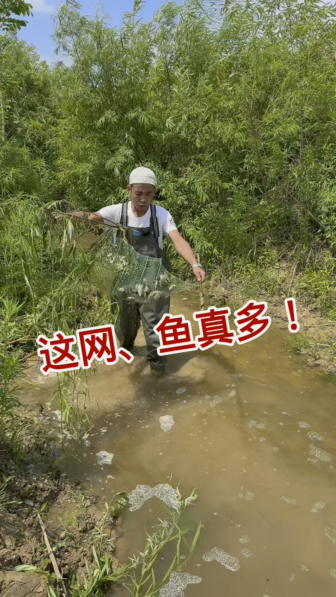 这网鱼真多,网没少下