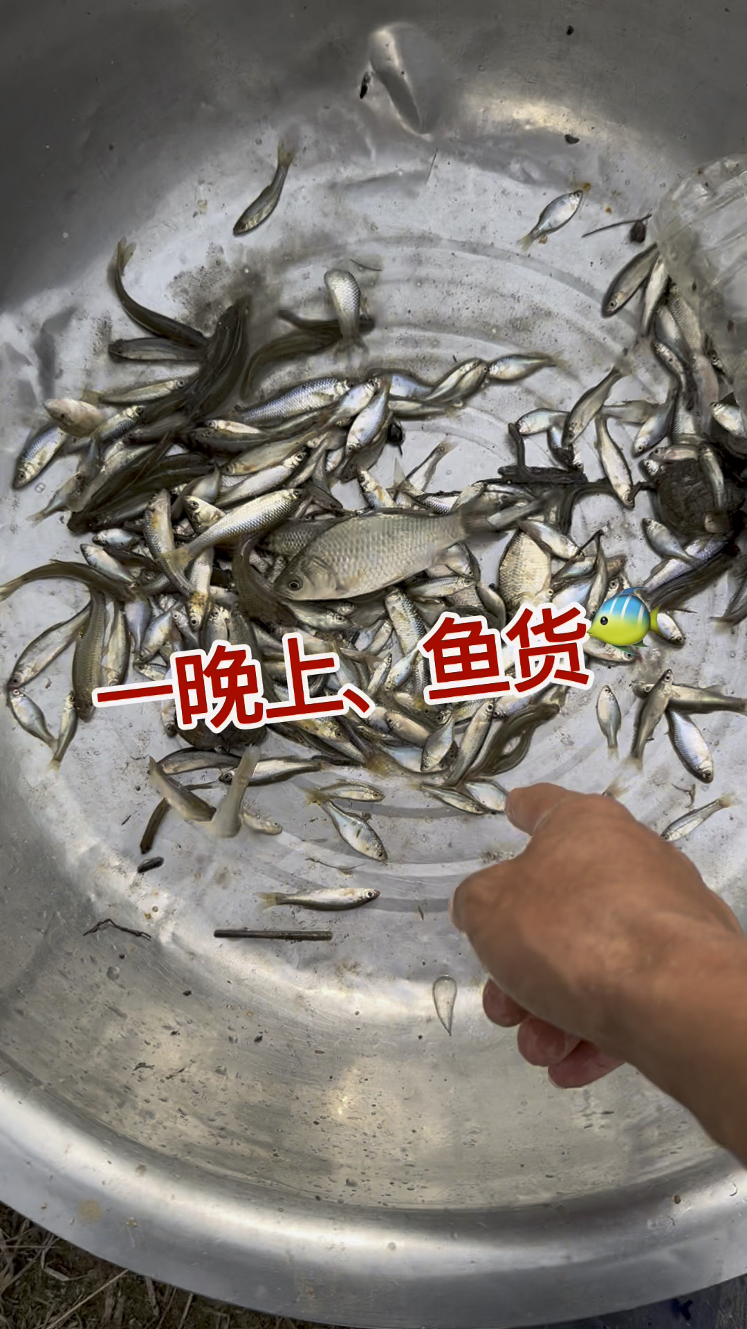 一晚上鱼货,还没之前十分钟多呢