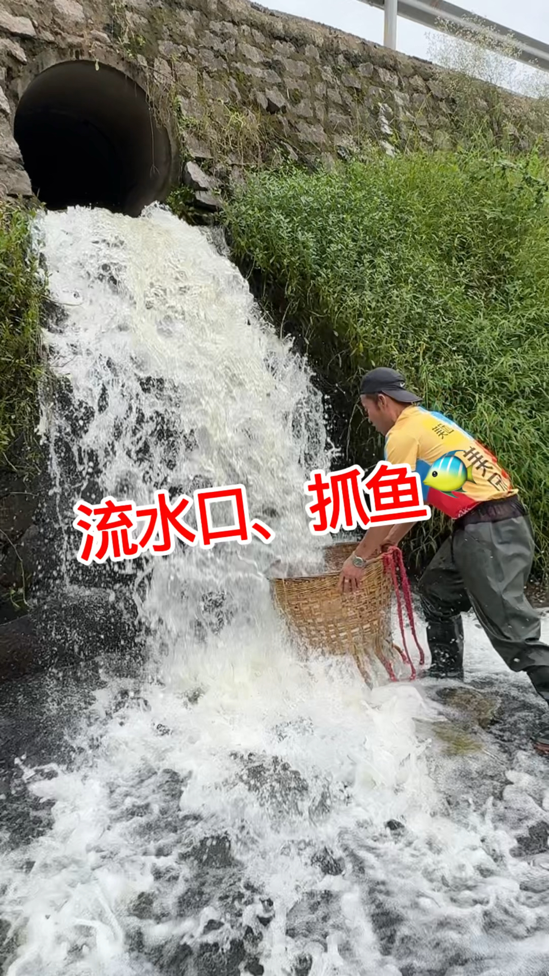 流水口抓鱼，好多小鲫鱼