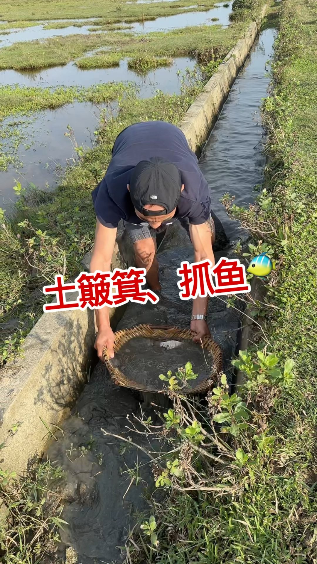 土簸箕抓鱼，这鱼太多了
