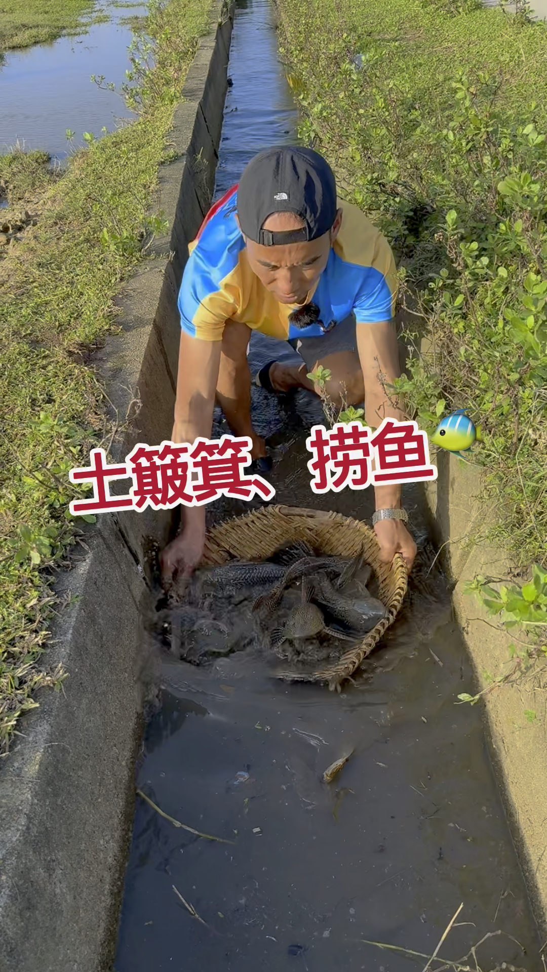 土簸箕捞鱼，都是清道夫