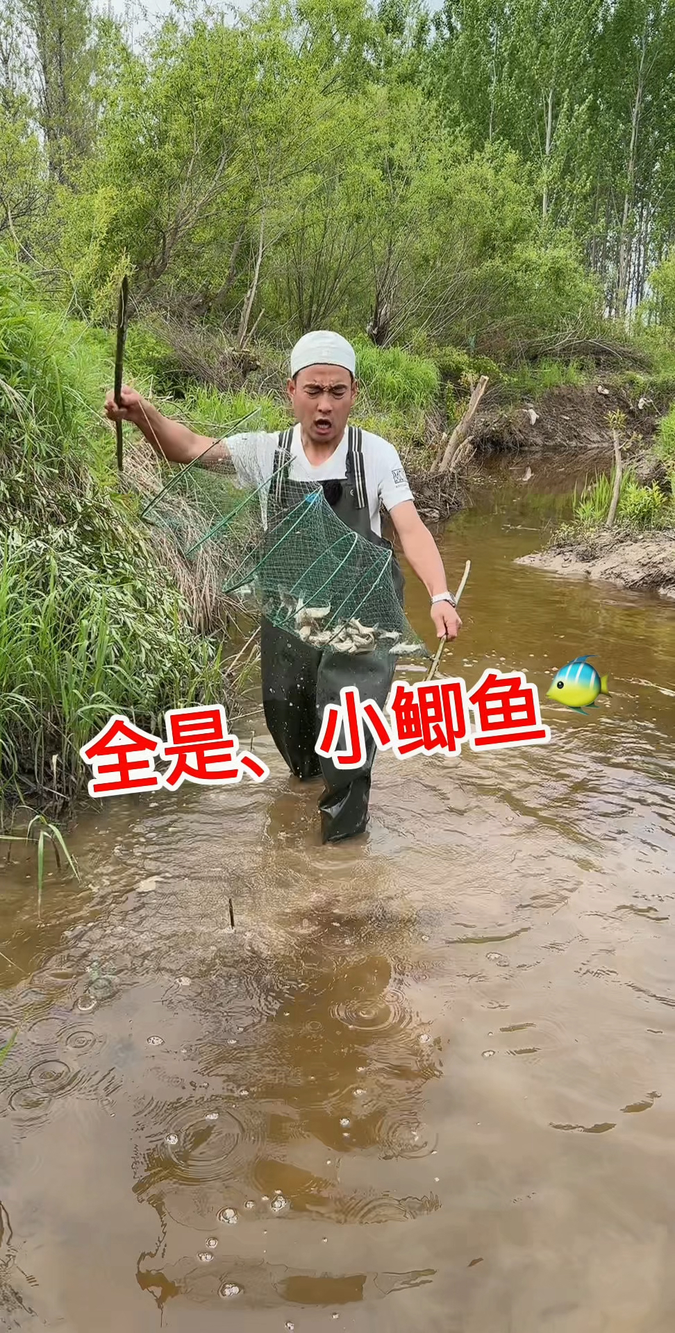 真实户外，全是小鲫鱼