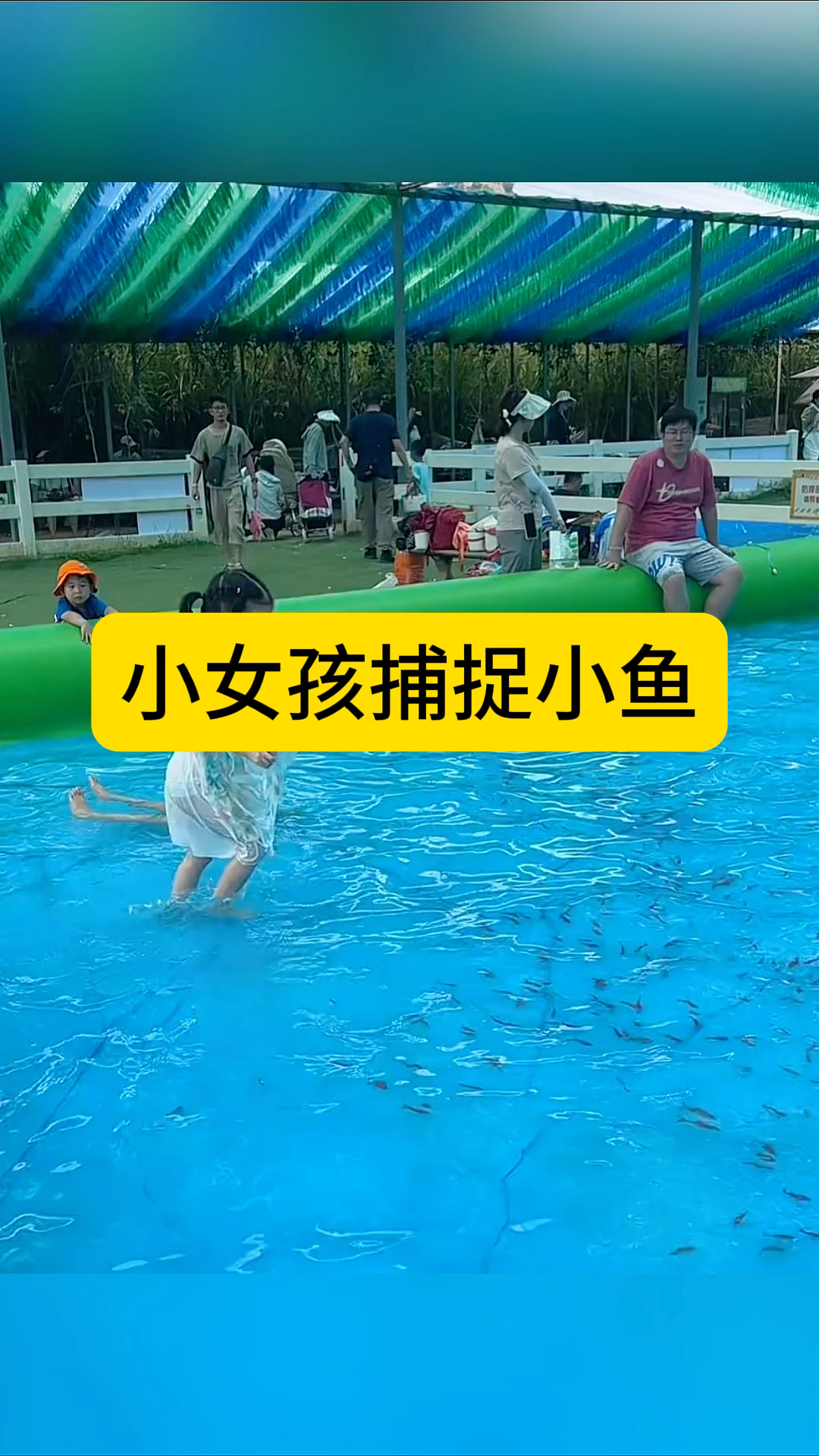 小女孩捕捉小鱼,居然用裙子打捞!