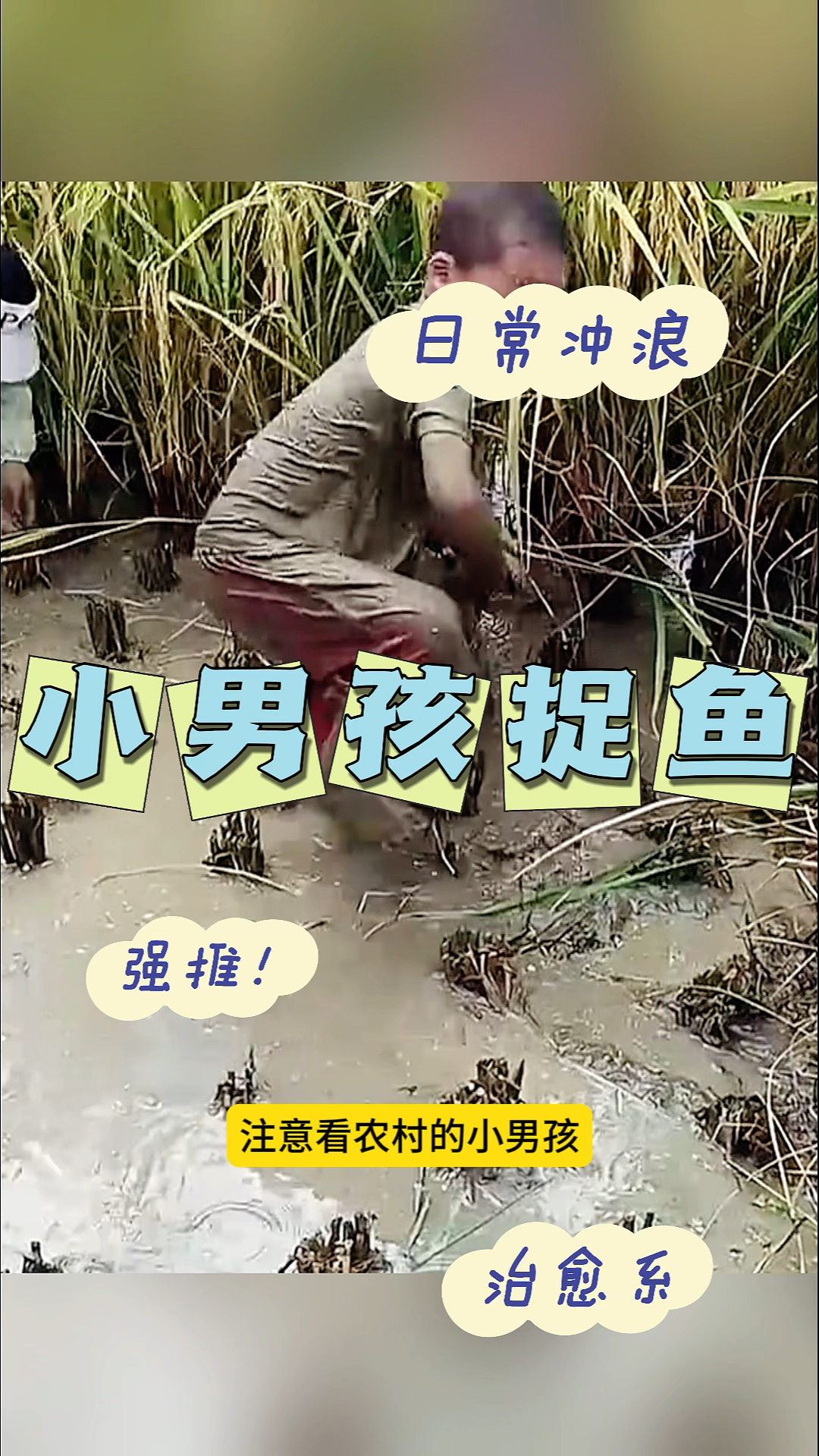 小男孩捉鱼,收获满满