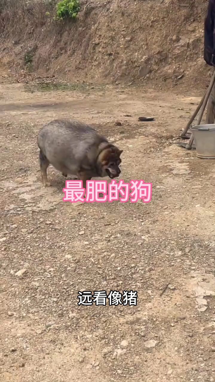 这个是什么级别的地方官啊,是局长级还是院长级别的