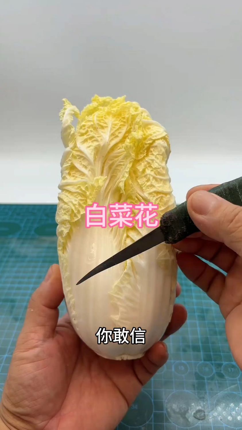 平平无奇的白菜，居然变成一朵菊花！