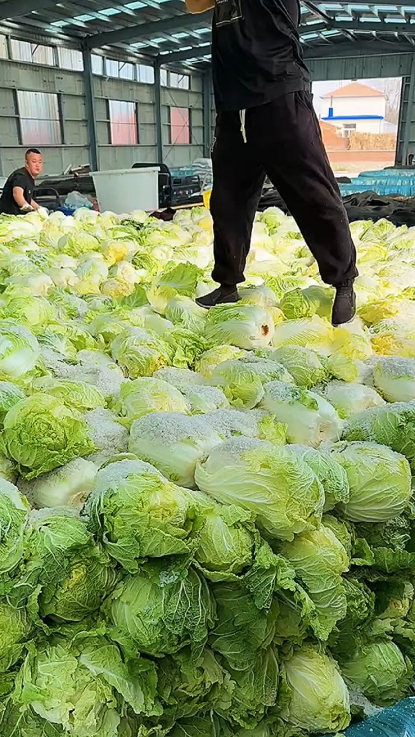 东北特色腌酸菜的做法