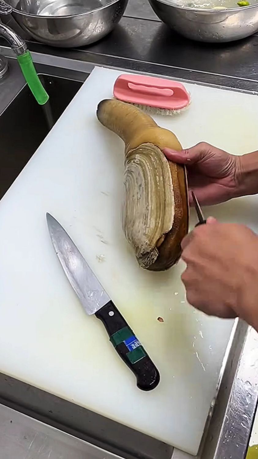 快速处理象拔蚌做法