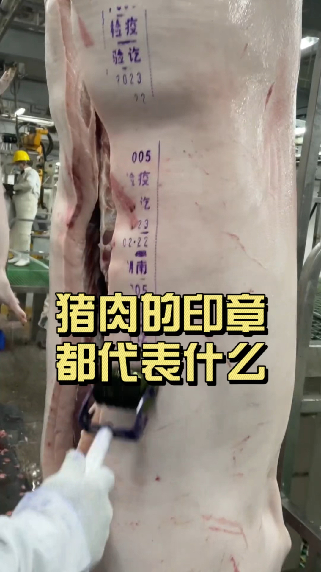 你知道猪肉的章都代表什么含义吗?