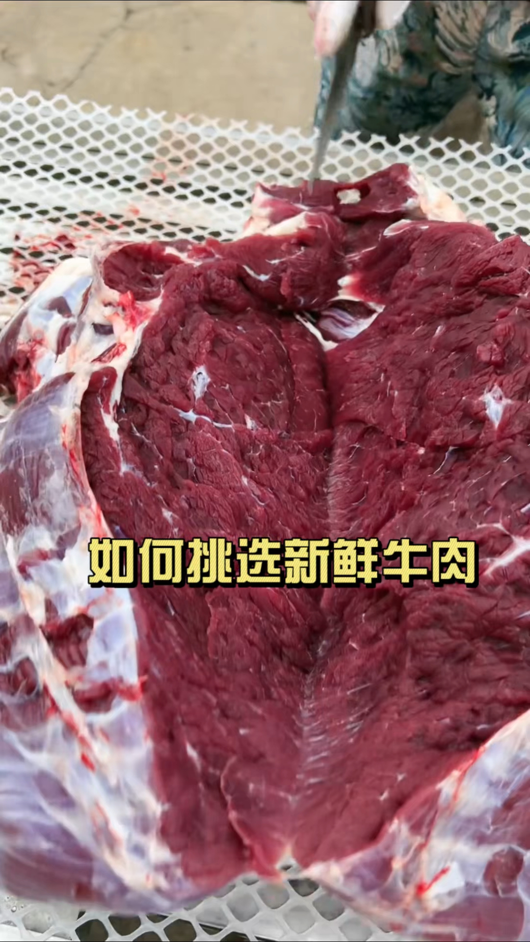 一个视频告诉你什么样的牛肉才是好牛肉