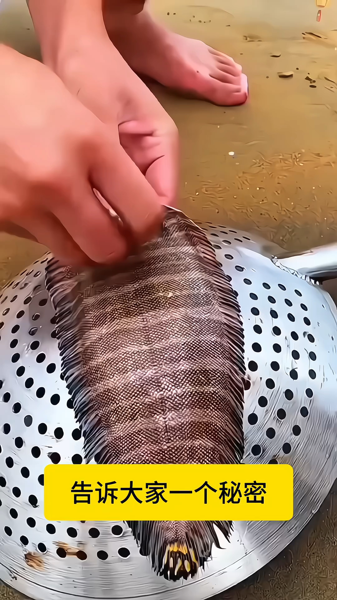 适合糖人吃的主食