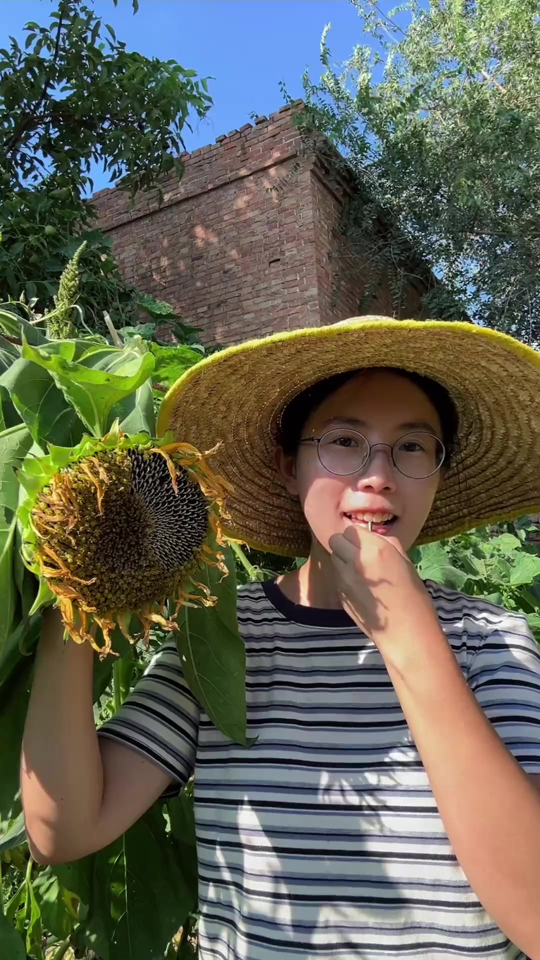 炒了超级香的瓜子，腌了臭苋菜梗，留着做臭豆腐吃!