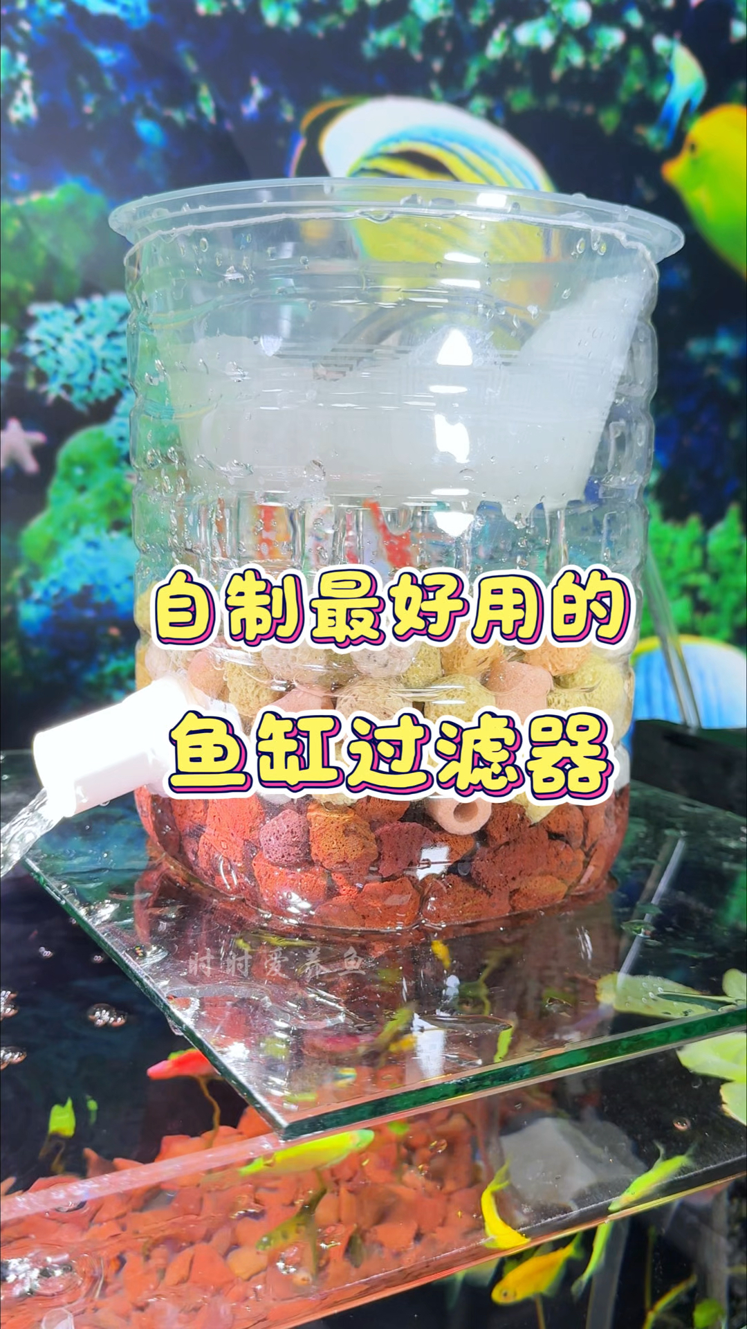 自制最好用的#鱼缸过滤器#养鱼日记 #手工diy #鱼缸里的大自然