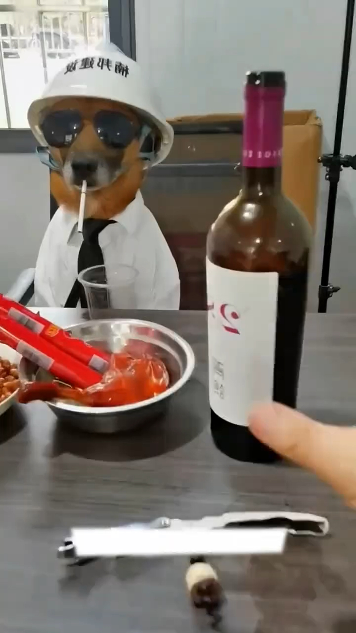 这狗的架子也太大了