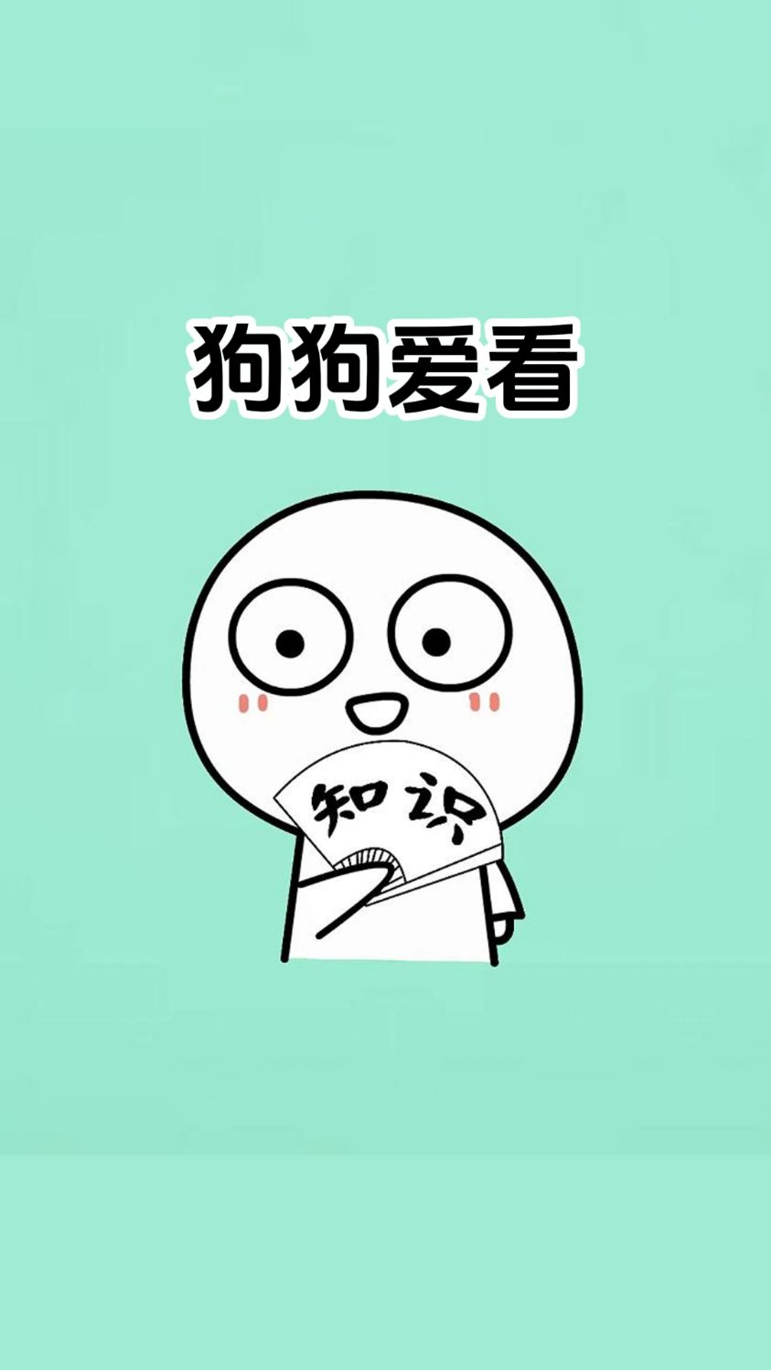 狗狗专属的动画片《布鲁伊》