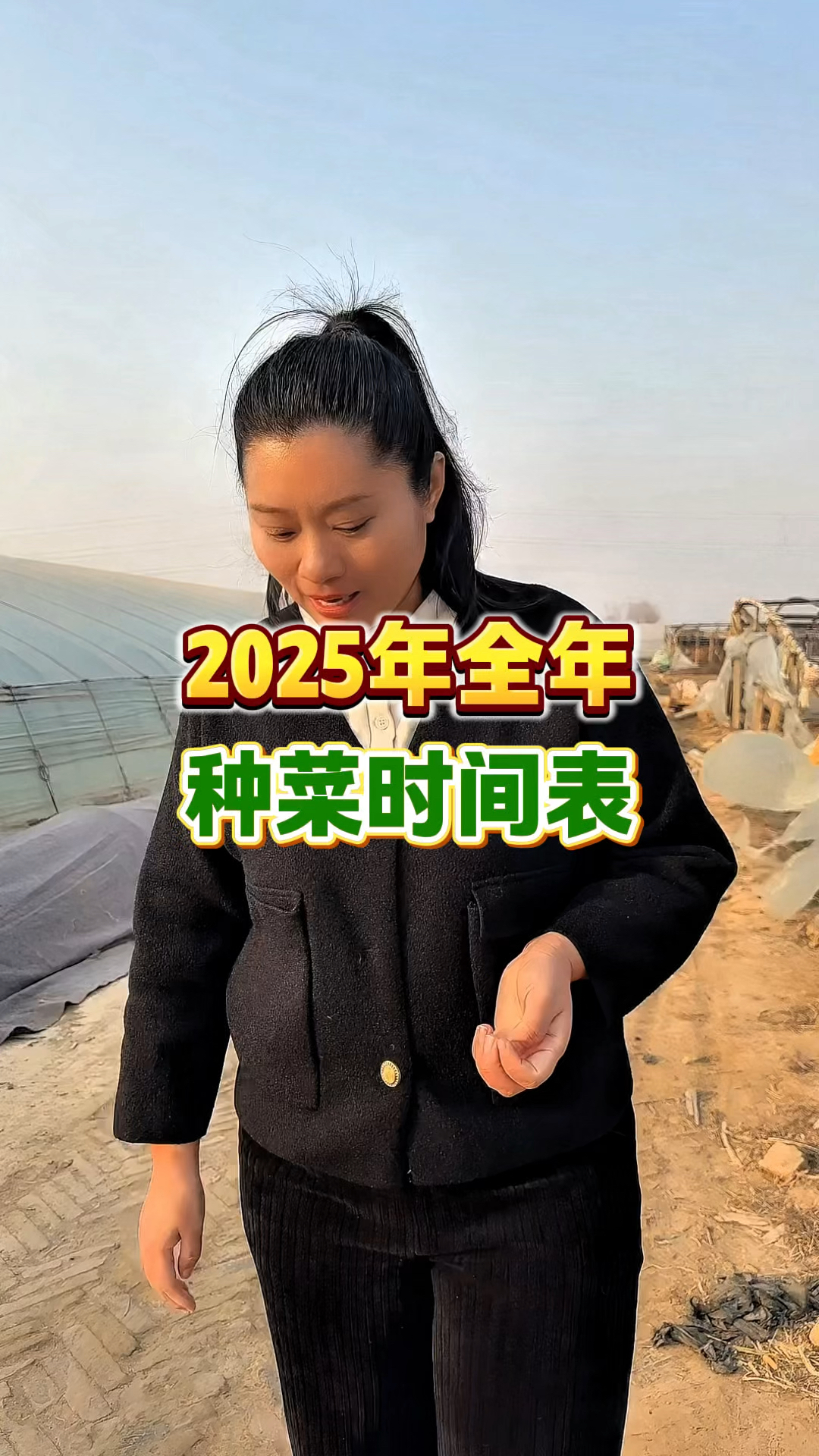 2025年全年种菜时间表