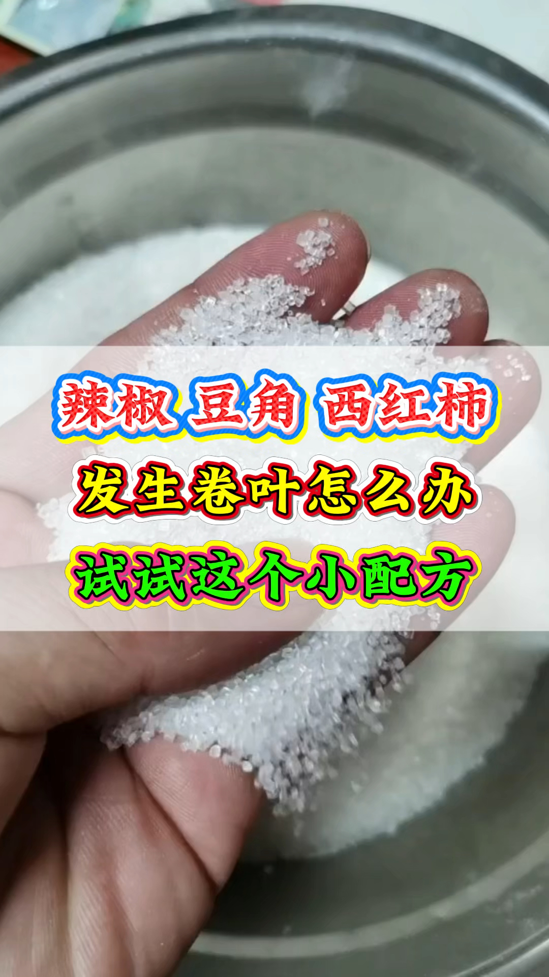 蔬菜种植的小技巧