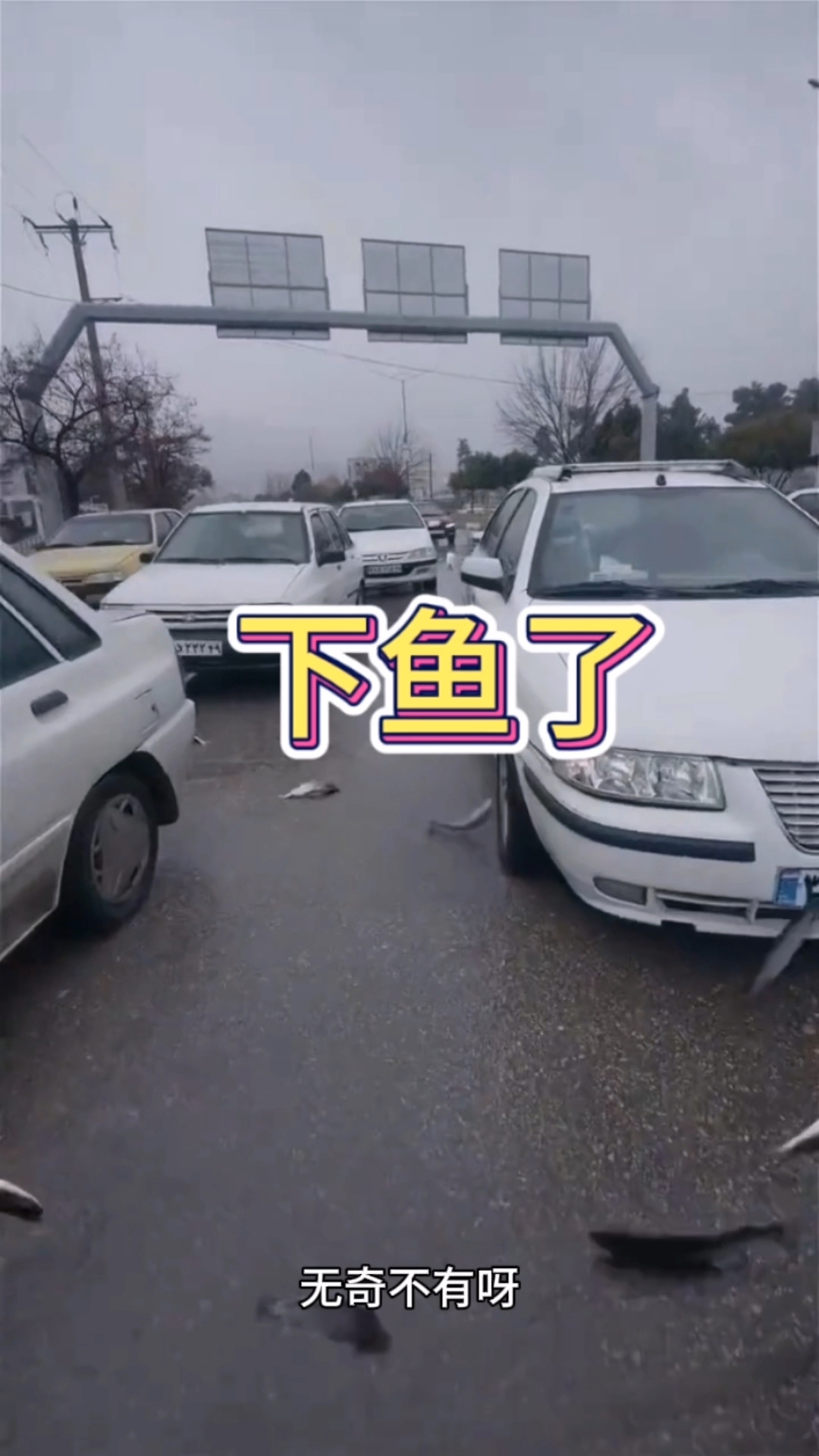 见过在水里面钓鱼的,没有见过天上下的鱼